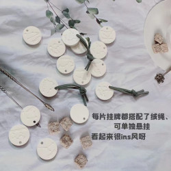 HE【純手工】硬幣擴香石 衣櫃/鞋櫃/抽屜/洗手間香氛片 除臭 家居芳香石 精油擴香 活動禮物 節日禮物 試香片